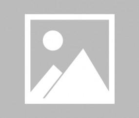 开云体育APP下载-TeamWE完胜BDS，Scout惊艳世界