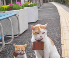 开云体育登录-年度焦点之战，国际米兰打穿南非背后的足球全球化浪潮