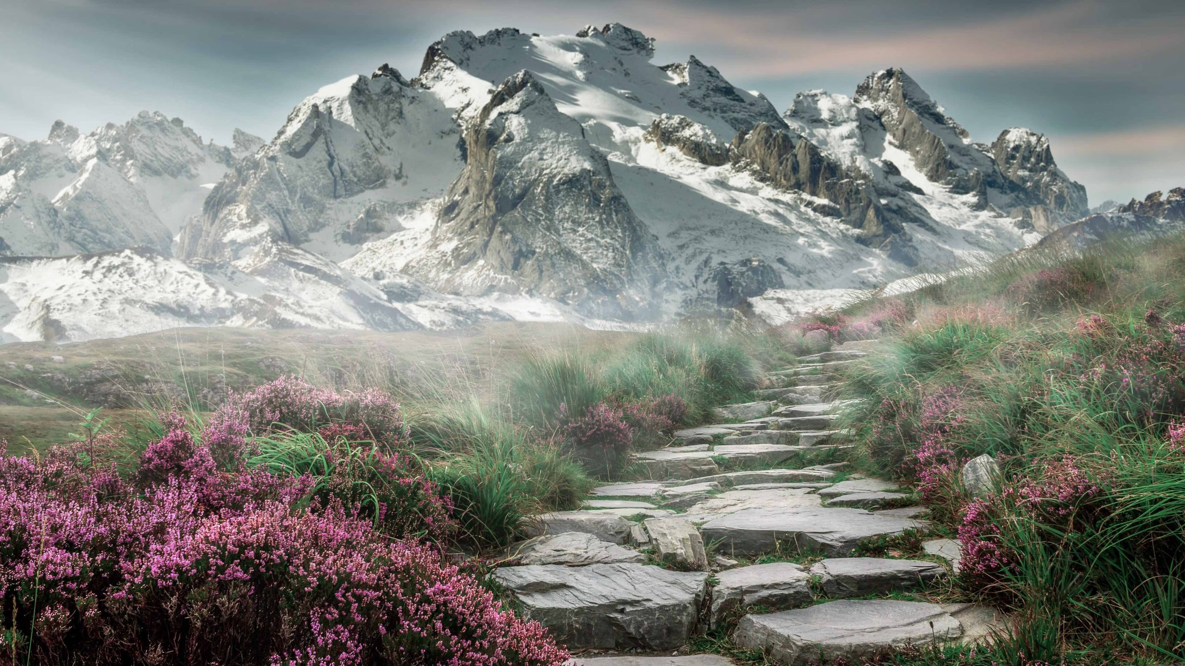 森林狼打穿开拓者,乔治成为关键先生