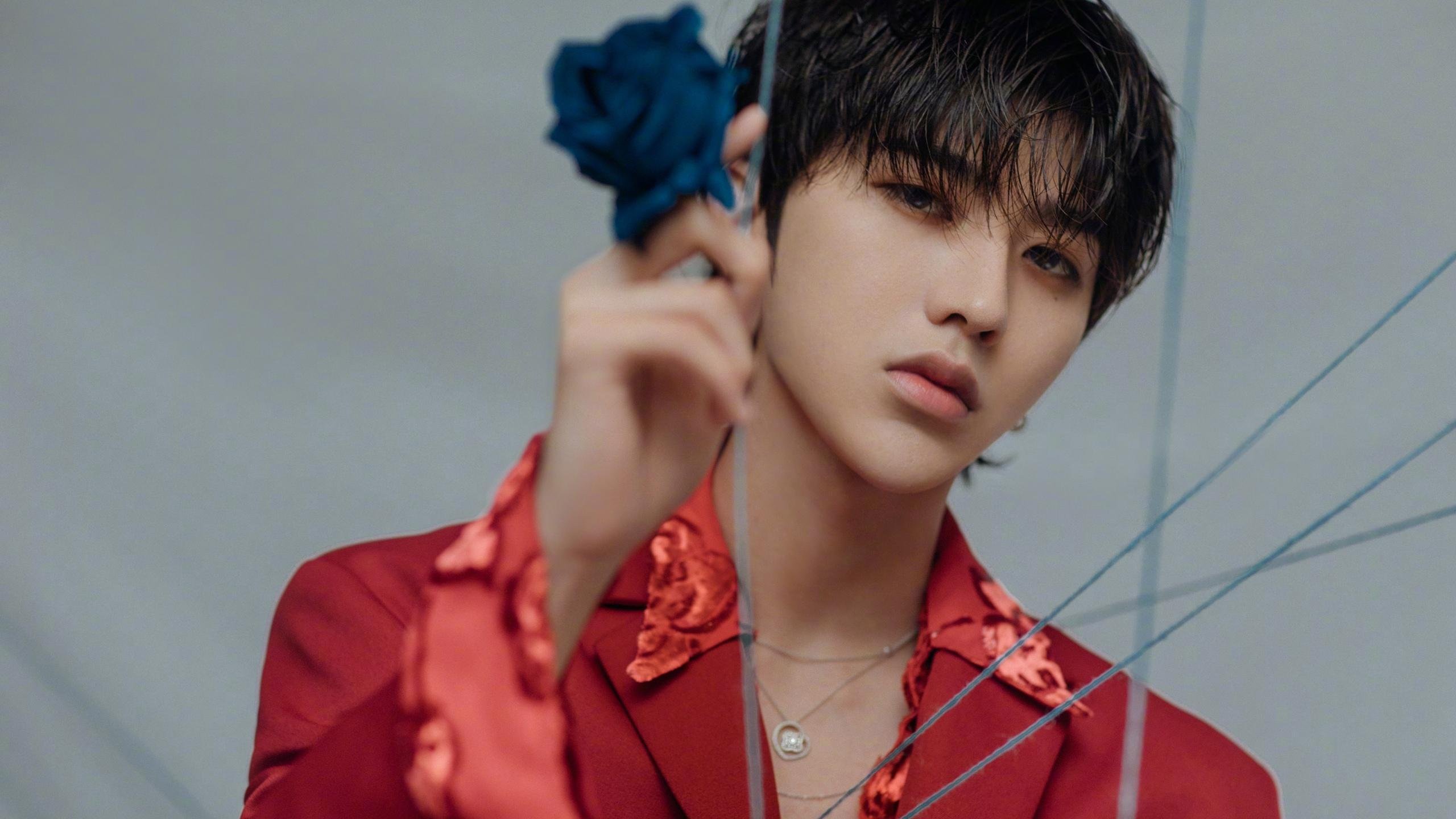 篮网奇迹夜，霍勒迪末节狂飙导演惊天逆转，辽宁痛失好局