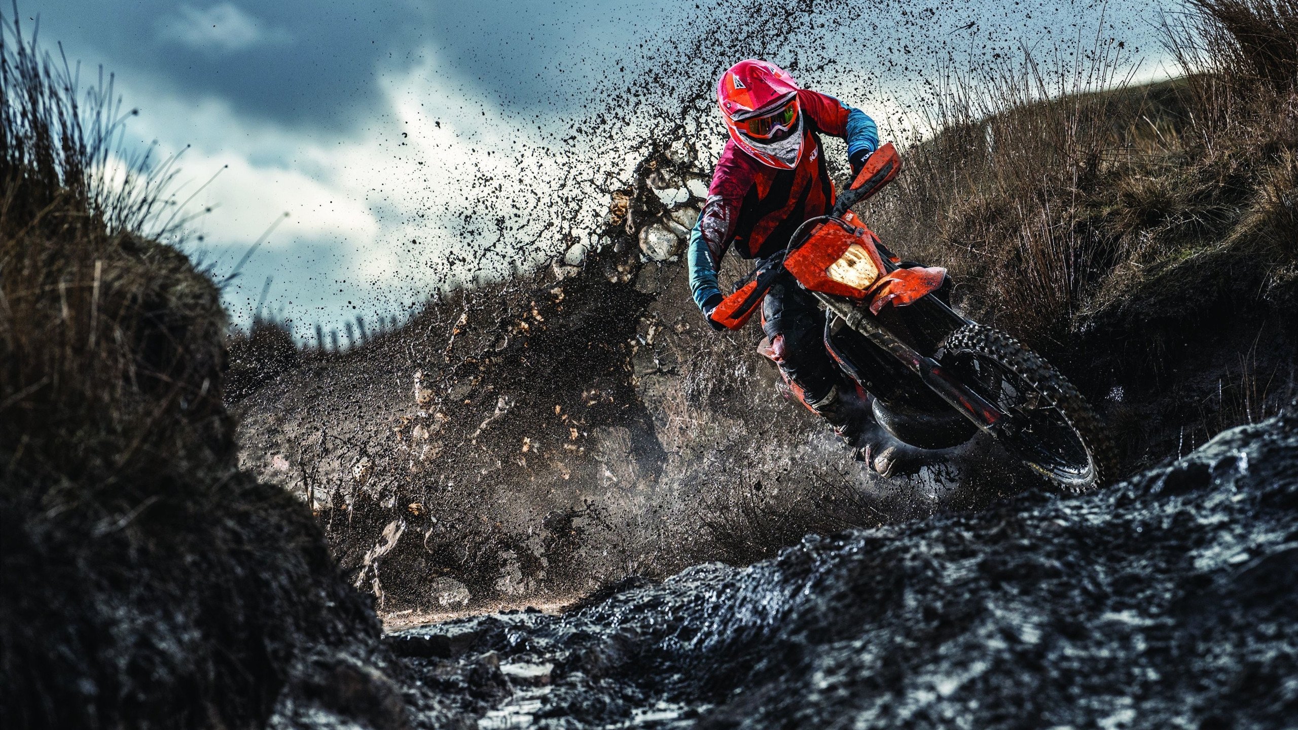 当篮球灵魂穿越赛道，掘金速胜黄蜂夜，西亚卡姆的F1街道赛接管美学